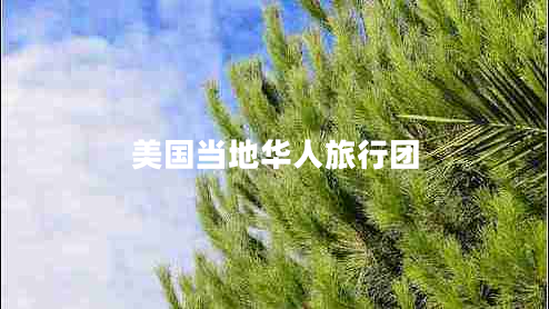美國當(dāng)?shù)厝A人旅行團(tuán) 美國當(dāng)?shù)厝A人旅行團(tuán)