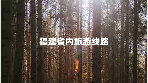 福建省內(nèi)旅游線路 福建省內(nèi)旅游線路