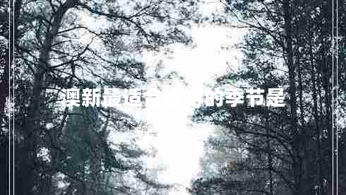 澳新最適合旅游的季節(jié)是