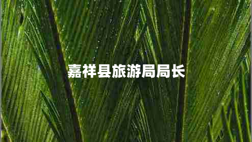 嘉祥縣旅游局局長(zhǎng)