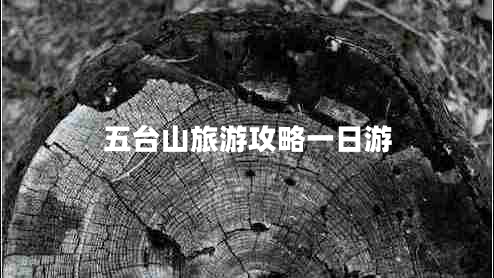 五臺(tái)山旅游攻略一日游 五臺(tái)山旅游攻略一日游