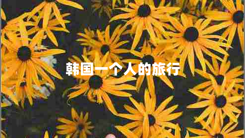韓國一個(gè)人的旅行