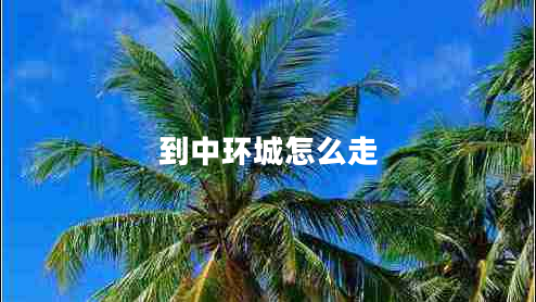 到中環(huán)城怎么走