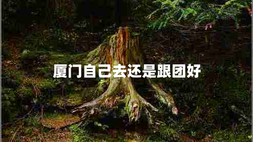 廈門自己去還是跟團(tuán)好