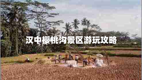 漢中櫻桃溝景區(qū)游玩攻略