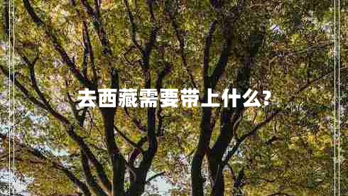 去西藏需要帶上什么?