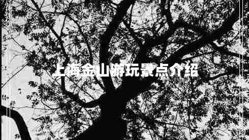 上海金山游玩景點(diǎn)介紹