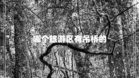 哪個(gè)旅游區(qū)有吊橋的