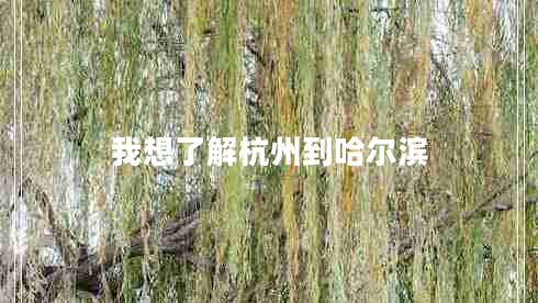 我想了解杭州到哈爾濱 我想了解杭州到哈爾濱