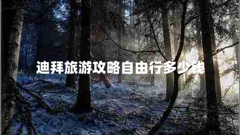 迪拜旅游攻略自由行多少錢