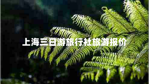 上海三日游旅行社旅游報(bào)價(jià)