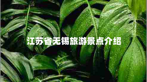 江蘇省無錫旅游景點介紹