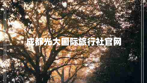 成都光大國(guó)際旅行社官網(wǎng) 成都光大國(guó)際旅行社官網(wǎng)