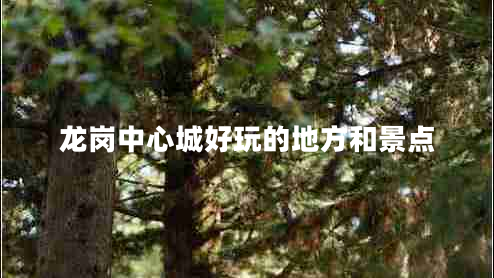 龍崗中心城好玩的地方和景點(diǎn)