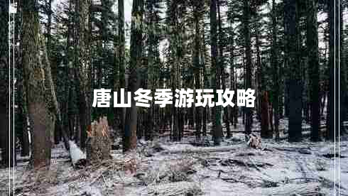 唐山冬季游玩攻略 唐山冬季游玩攻略