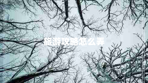 旅游攻略怎么弄
