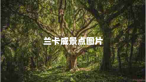 蘭卡威景點(diǎn)圖片 蘭卡威景點(diǎn)圖片