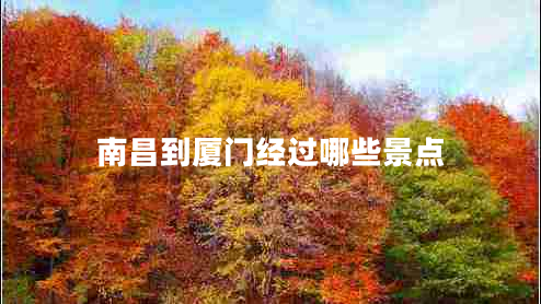 南昌到廈門經(jīng)過哪些景點(diǎn)