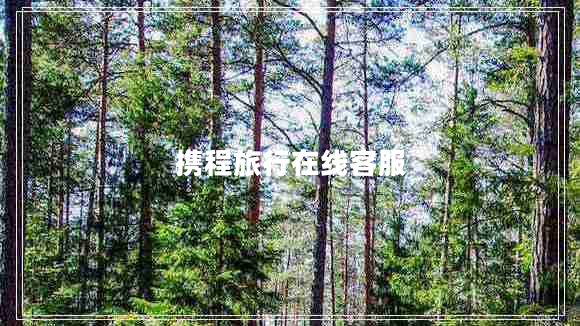 攜程旅行在線客服