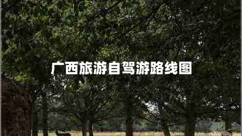 廣西旅游自駕游路線圖 廣西旅游自駕游路線圖