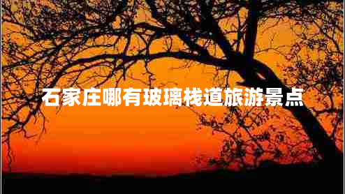 石家莊哪有玻璃棧道旅游景點(diǎn)