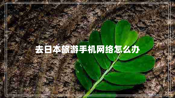 去日本旅游手機(jī)網(wǎng)絡(luò)怎么辦