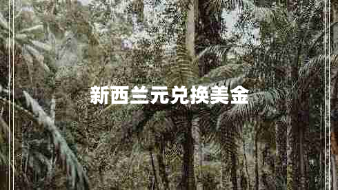 新西蘭元兌換美金