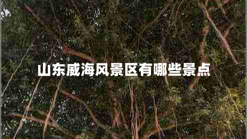 山東威海風景區(qū)有哪些景點