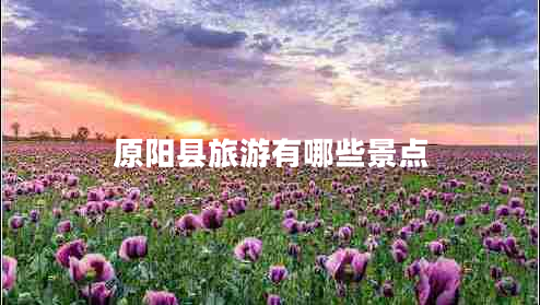 原陽縣旅游有哪些景點 原陽縣旅游有哪些景點
