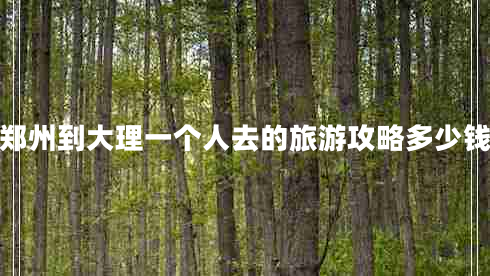 鄭州到大理一個人去的旅游攻略多少錢