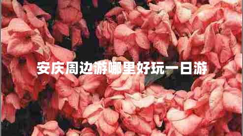 安慶周邊游哪里好玩一日游 安慶周邊游哪里好玩一日游