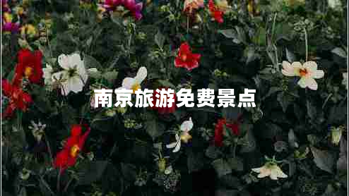 南京旅游免費(fèi)景點(diǎn)