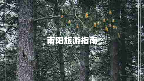 南陽旅游指南