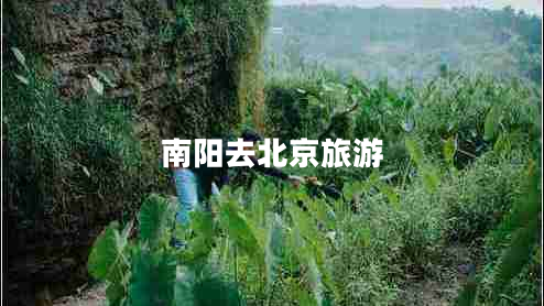 南陽(yáng)去北京旅游