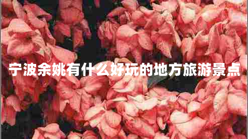 寧波余姚有什么好玩的地方旅游景點(diǎn) 寧波余姚有什么好玩的地方旅游景點(diǎn)