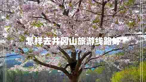 怎樣去井岡山旅游線路好