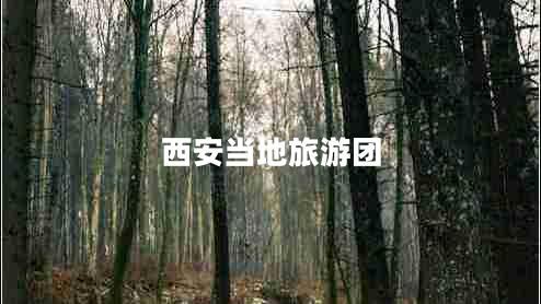 西安當(dāng)?shù)芈糜螆F(tuán)