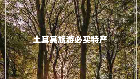 土耳其旅游必買特產(chǎn)