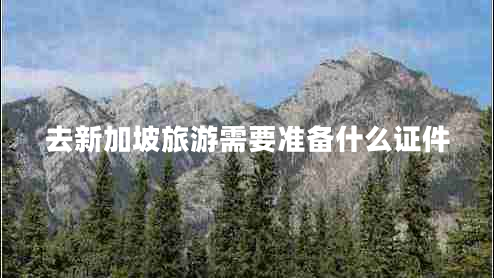 去新加坡旅游需要準(zhǔn)備什么證件