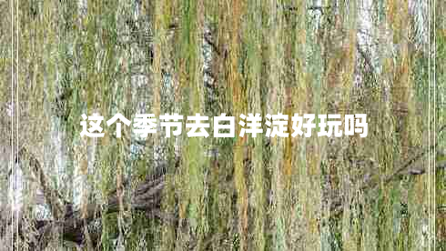 這個(gè)季節(jié)去白洋淀好玩嗎