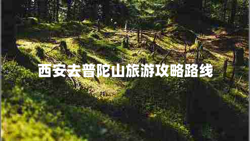 西安去普陀山旅游攻略路線(xiàn) 西安去普陀山旅游攻略路線(xiàn)