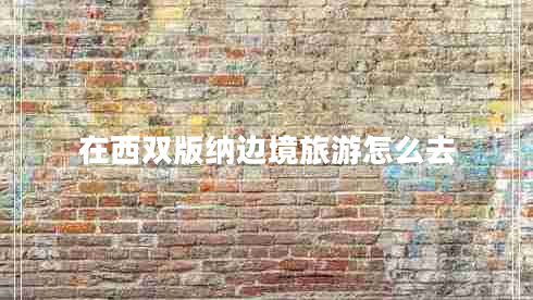 在西雙版納邊境旅游怎么去 在西雙版納邊境旅游怎么去