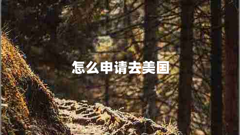 怎么申請去美國