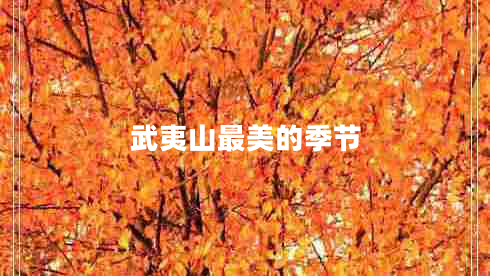 武夷山最美的季節(jié)