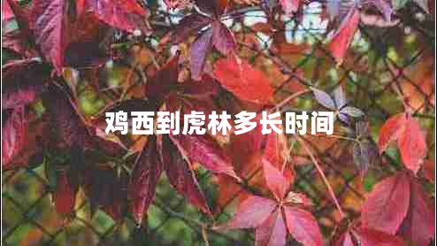 雞西到虎林多長(zhǎng)時(shí)間