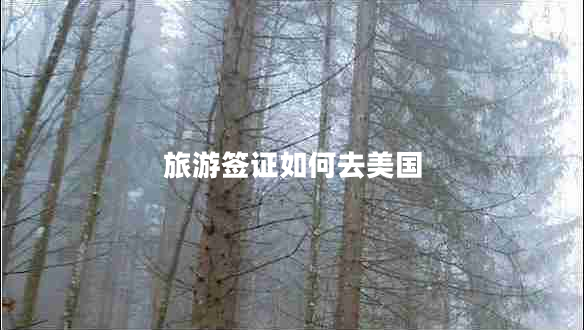 旅游簽證如何去美國(guó)