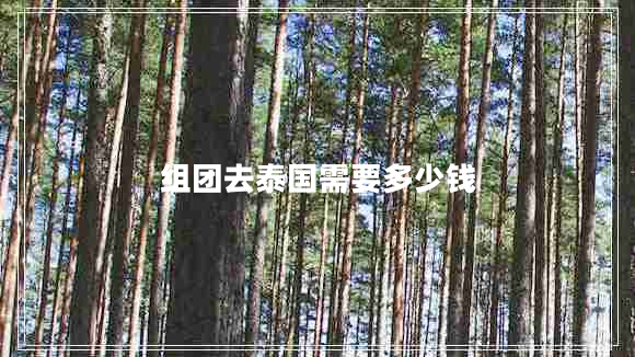 組團去泰國需要多少錢