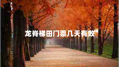 龍脊梯田門票幾天有效