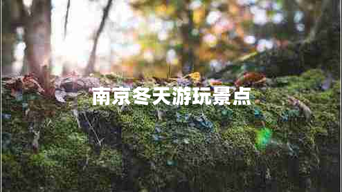 南京冬天游玩景點(diǎn)