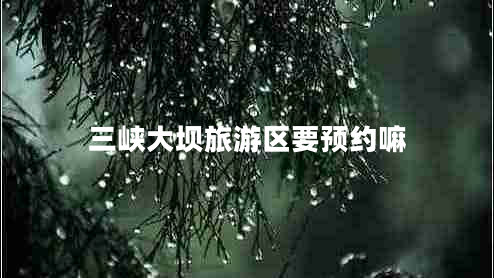 三峽大壩旅游區(qū)要預(yù)約嘛